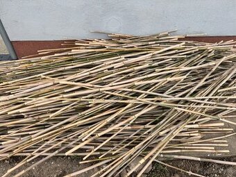 Predám bambusové tyče – 180 až 200 cm