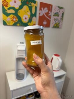 Kombucha štartovací nálev