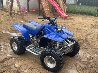 Yamaha Warrior 350