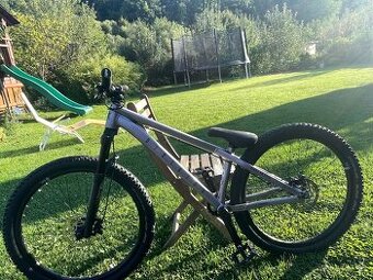 Ctm dirtking expert 2023