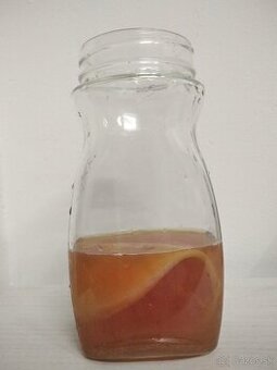 Kombucha SCOBY