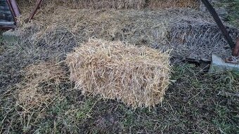 Pšeničná slama malé balíky.