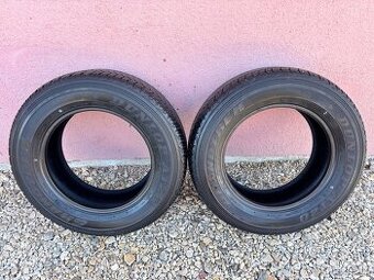 245/65 R17 Dunlop AT20 Grandtrek - letné