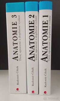 Anatómia - Čihák