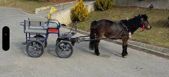 Brička wagoneta