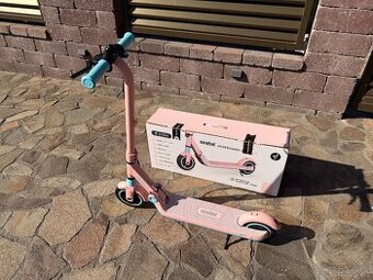 Segway Ninebot eKickScooter ZING E8