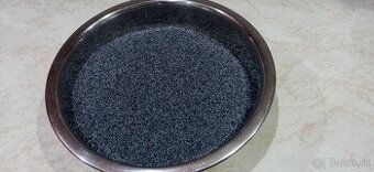 Predám domáci Mak modrý