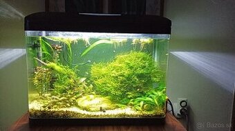Akvárium Invital 65l