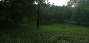 Brestovec - stavebný pozemok - 1