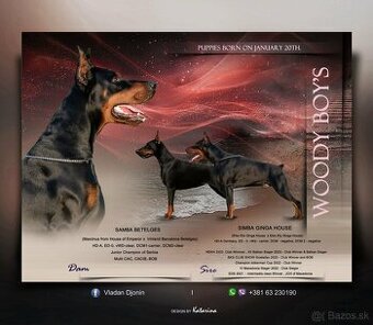 Woody Boy’s Dobermann