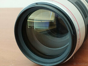 Canon EF 100-400mm f/4.5-5.6L USM