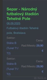 Vstupenka SEPAR