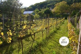 TOP NA PREDAJ: zaujímavý pozemok 740m2 - Smolenice