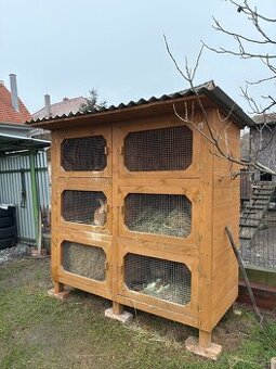 Kralickaren pre zajace