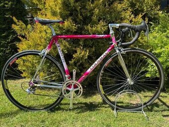 Colnago Tecnos Art Decor