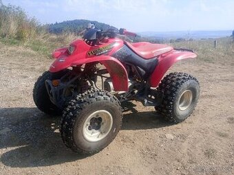 Honda TRX 250ex