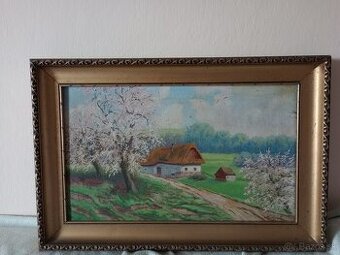 Alois Kohout - 1