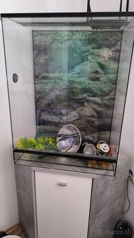 Terárium pre chameleóna