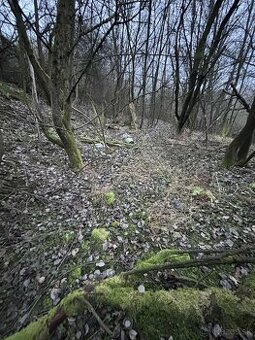 Predáme záhradu 700m2 v tichej lokalite Martin - Vrútky