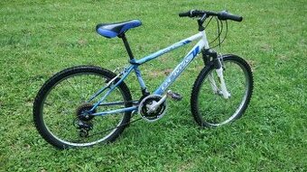 Bicykel chlapčenský