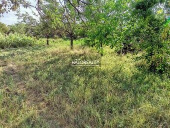 HALO reality - Predaj, pozemok pre rodinný dom 600 m2 Horn