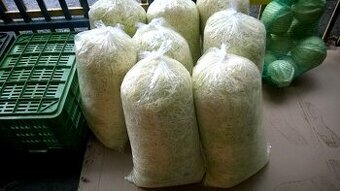 Predám rezanú / strúhanú kapustu / hlávkovú kapustu
