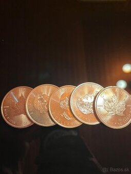 Strieborne investične mince Maple Leaf 1 Oz