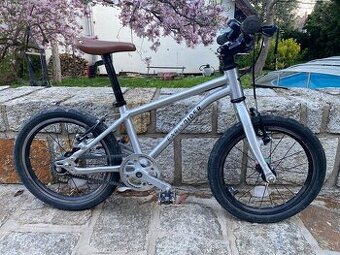 Early Rider Belter 16