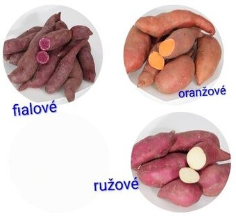 Bataty sadenice 3 druhy- posledné kusy