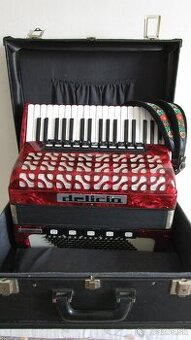 Akordeon Delicia Carmen 24
