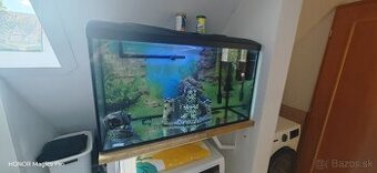 Predam aquarium