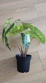 Umelá rastlina Ikea