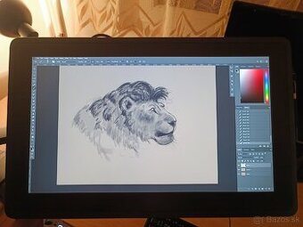 Wacom Cintiq 22 + Wacom Ergotron LX Arm