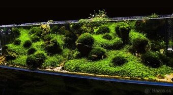 170L akvarium robene na mieru