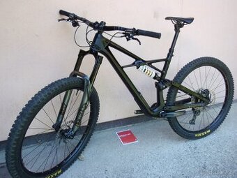 Specialized Enduro S-Works Carbon 29"