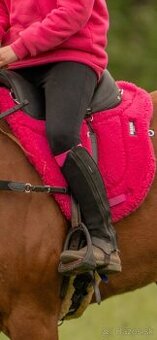 Endurance podsedlovka burioni