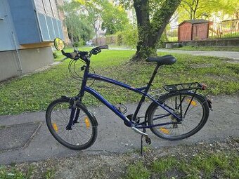 Specialized globe XL