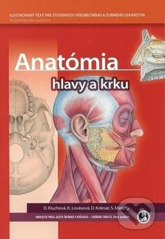 Anatómia hlavy a krku