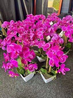 Orchidea umelá 3D - 1