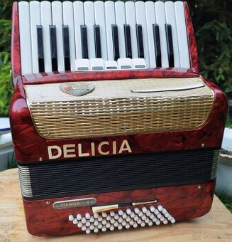 Harmonika Akordeon Delicia Pianola 1
