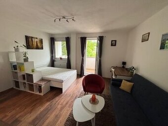 1 IZBOVÝ BYT NA PRENÁJOM - LEVICE - VINOHRADY, ID 561