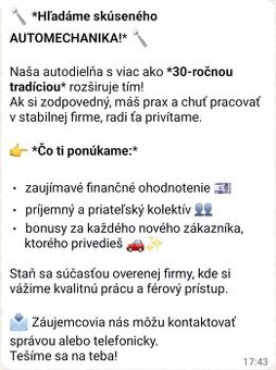 AUTOMECHANIK .. nástup ihneď
