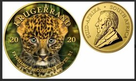 investičné strieborne mince - Krugerrand Big Five Baby - 1