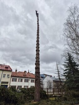 Rizikový vyrub