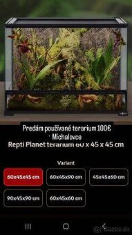 Terárium