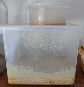 Živé Krmivo pre poťer