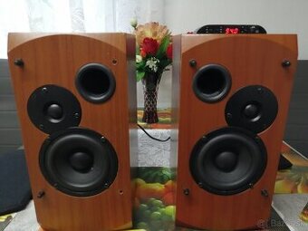 Bluetooth sal štúdiové aktívne reprobedne