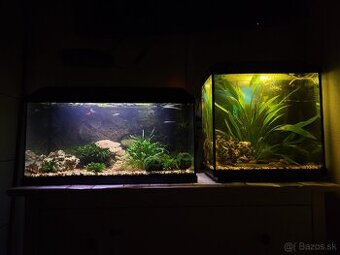 Predám akvária cca 60l