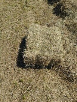 Balikovane seno (2025). Aktuálne do zmazania