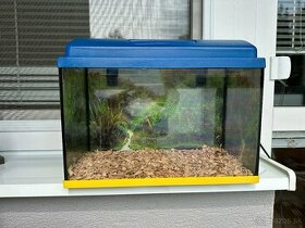 Akvárium na rybicky/ aj ako terarium pre drobné korytnačky